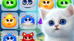 Kitty Jewel Quest